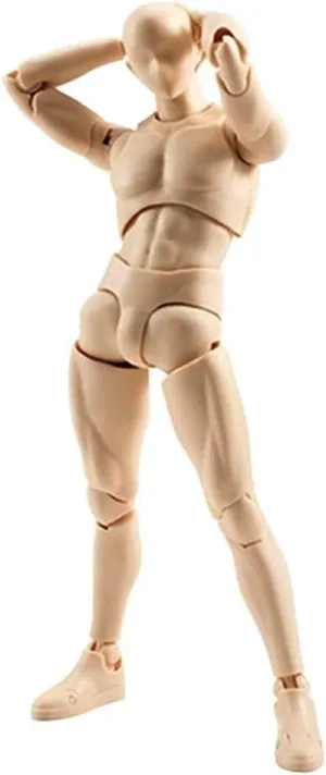 Action Figure Drawing Models, Human Mannequin Body Kun Doll Body-Chan Male/Female Action Figure DX Set, Suitable for Sketching, Painting, Drawing Mannequin Figure Models for Artist