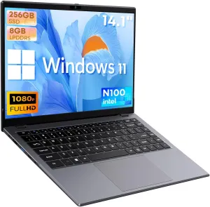 CHUWI GemiBook XPro 14.1'' Laptop, Intel 12th Gen N100(up to 3.4GHz),256GB SSD 8GB LPDDR5, Windows 11 Laptop Computer, 1920X1080 FHD Display, WiFi 6,BT5.2,HDMI,Type-C,2MP Camera,5000mAh,1TB SSD Expand