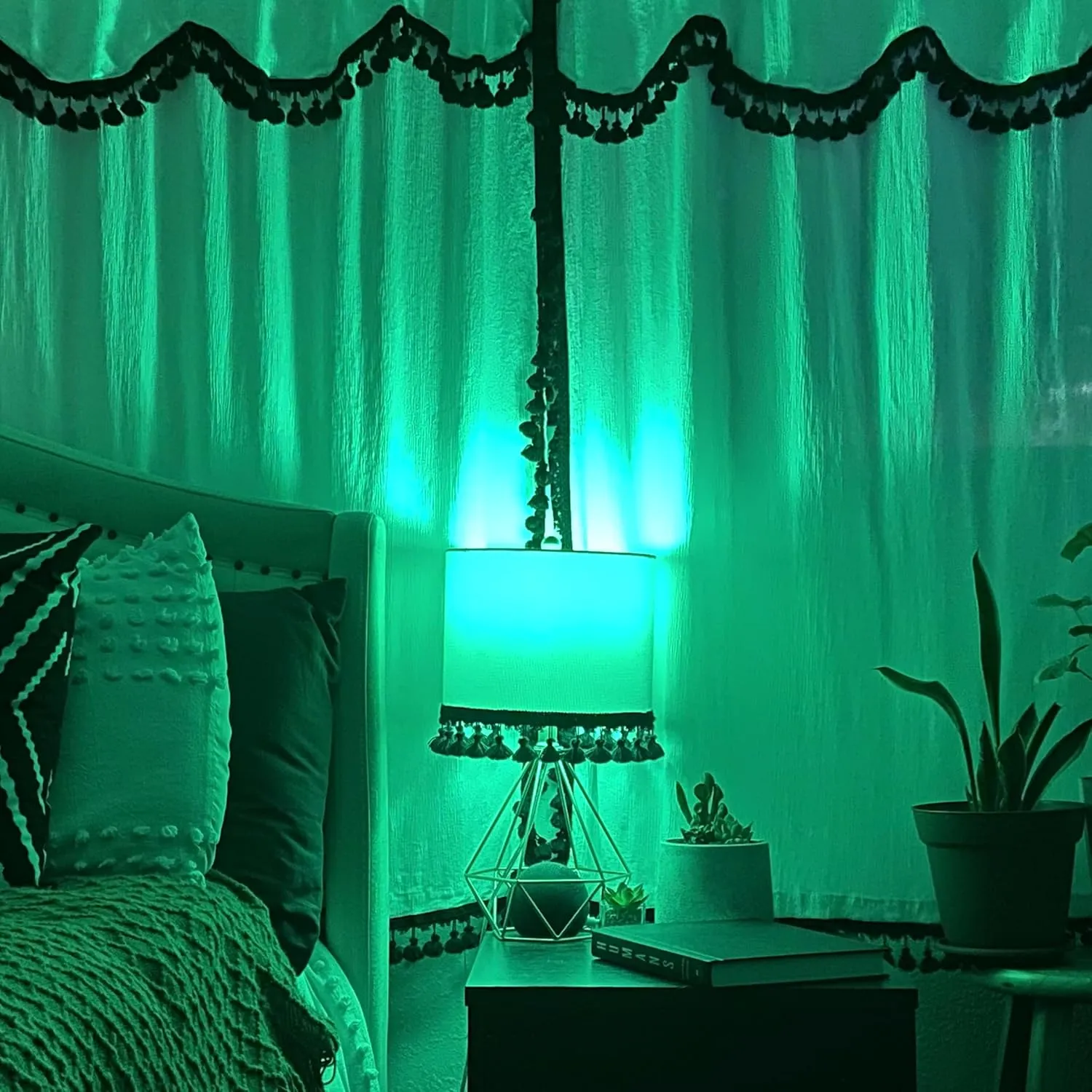 Feit Electric A19/TG/LED/6 25W Equivalent Dimmable Clear Glass Filament Colored LED Light Bulbs, Green, 6-Pack, 2.4" D x 4" H