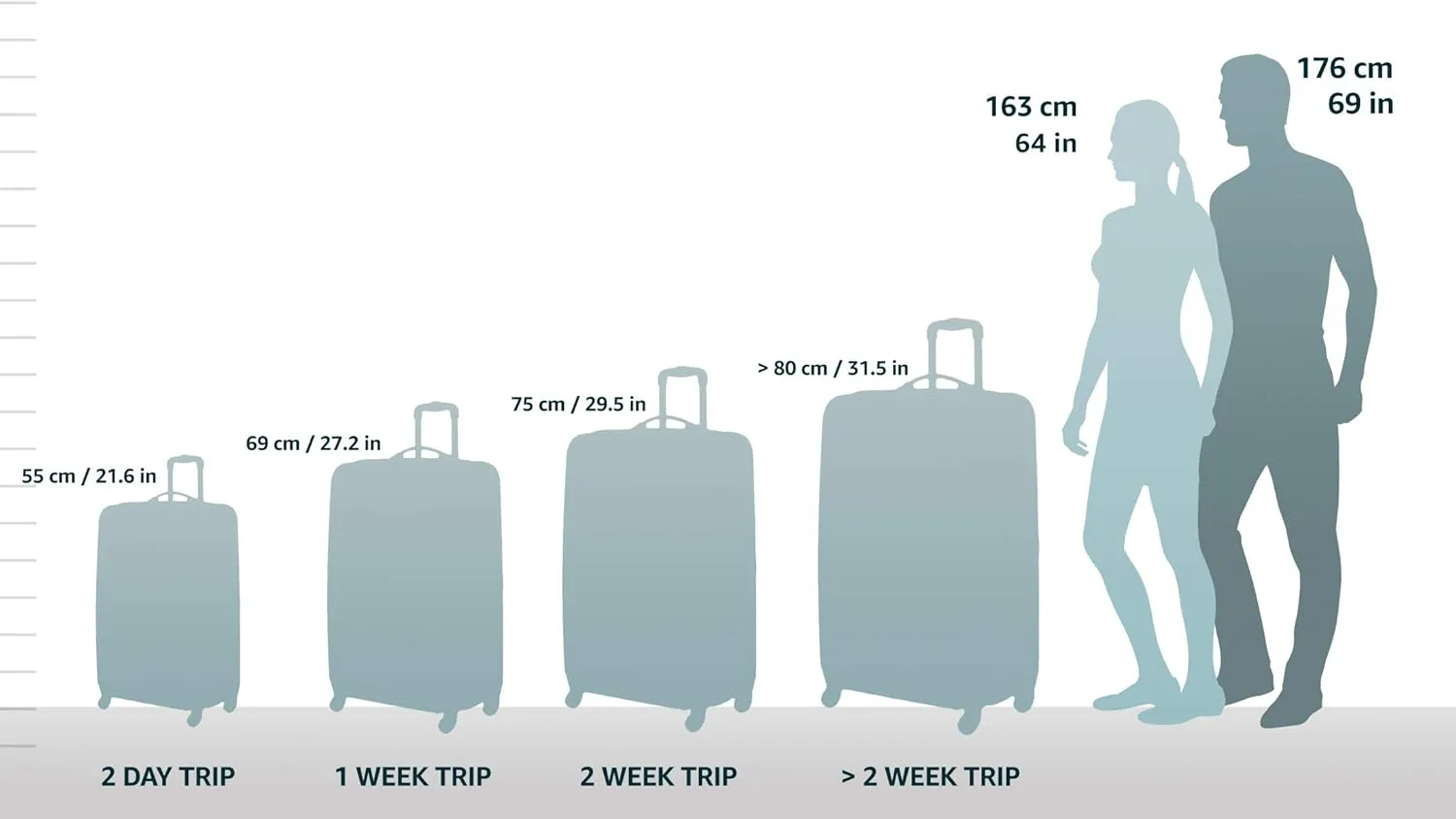 Rockland Titan Hardside Spinner Luggage, Black, Carry-On 19-Inch