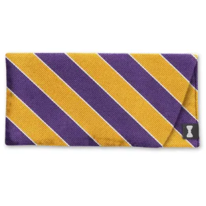 Scholastic Purple/Gold - Eyeglass Cases
