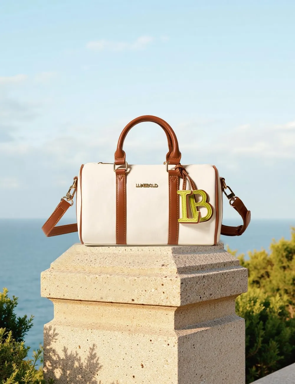 Top Handle Bags for Women Crossbody Purse Cute Boston Bags